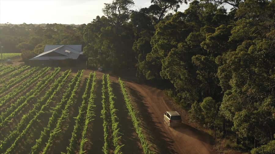 Hidden Gems Margaret River: Authentic Wine & Farm Experience - Who this tour suits best in Margaret River
