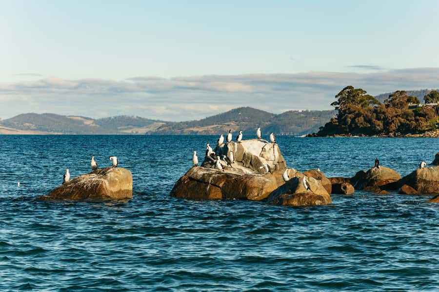 Hobart: 2.5-hour Iron Pot Lighthouse Cruise - Hobart to the Iron Pot Lighthouse: what this cruise is really for