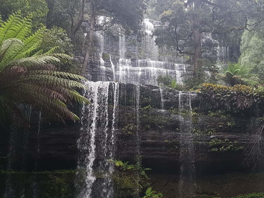 Hobart: 4 Day Wild Tasmania Tour - Key points to know before you go