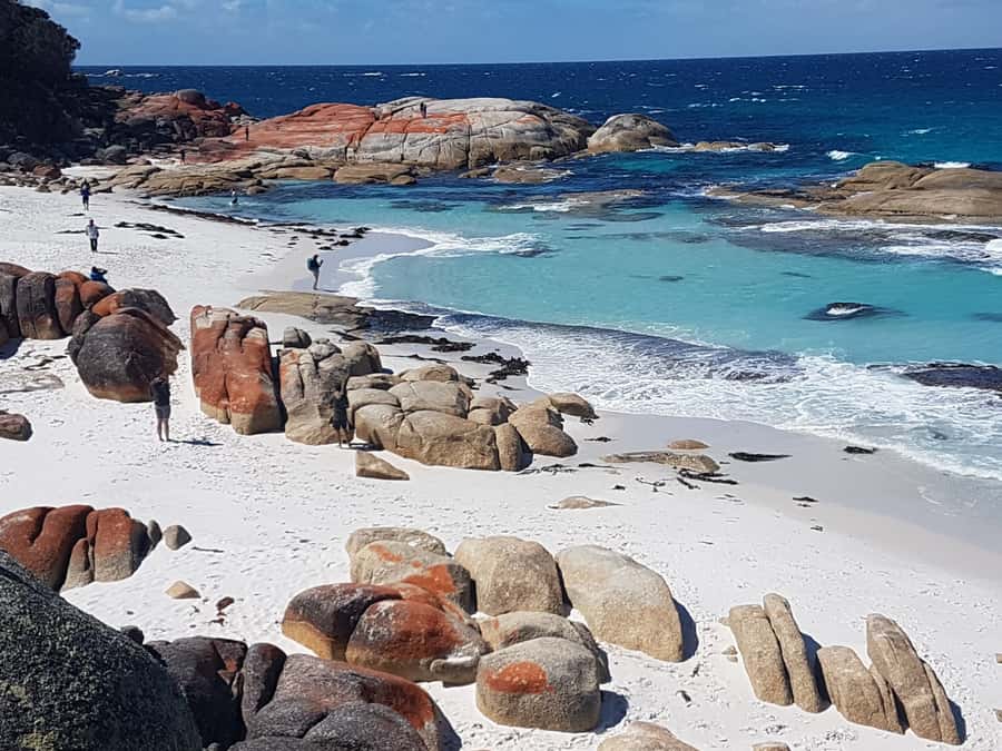 Hobart: 4 Day Wild Tasmania Tour - Price and what you actually get for $704
