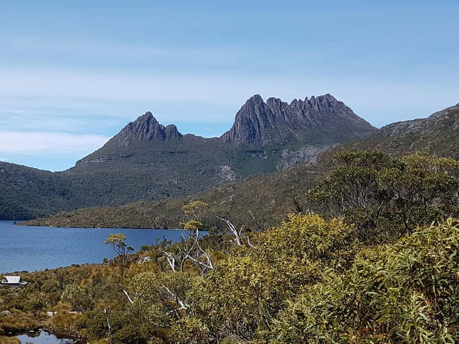 Hobart: 4 Day Wild Tasmania Tour - Getting around: small vehicle comfort and lots of road time