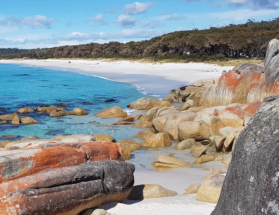 Hobart: 4 Day Wild Tasmania Tour - Included stops that you should not skip: parks and devil feeding