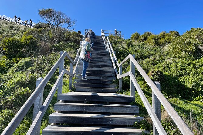 Hobart: Bruny Island Adventure: Hiking, Highlights & Local tastes - Cape Queen Elizabeth Trail, Mars Bluff, and the rhythm of the hike