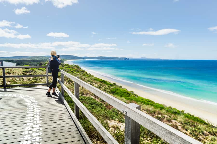 Hobart: Bruny Island Food, Sightseeing & Lighthouse Day Tour - Wallabies, rainforest drives, and South Bruny National Park stops