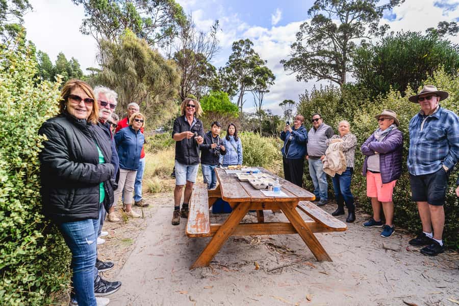 Hobart: Bruny Island Food, Sightseeing & Lighthouse Day Tour - Should you book this Bruny Island food and lighthouse day tour?