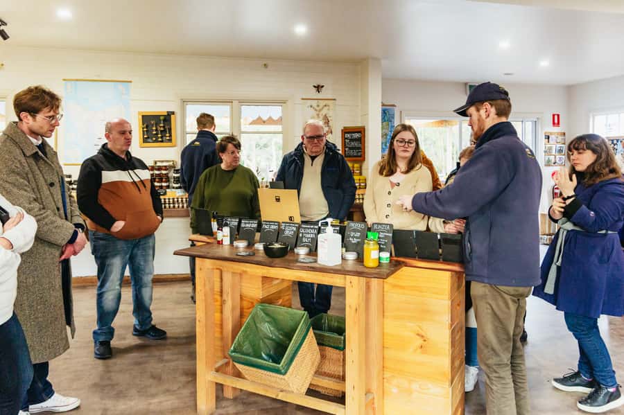 Hobart: Bruny Island Gourmet Sightseeing Day Tour - Pennicott’s beachside lunch: oysters plus two drinks