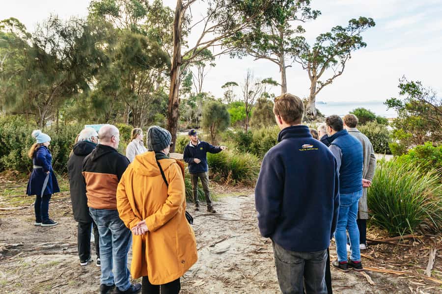 Hobart: Bruny Island Gourmet Sightseeing Day Tour - Price and value: what $194 covers in real terms