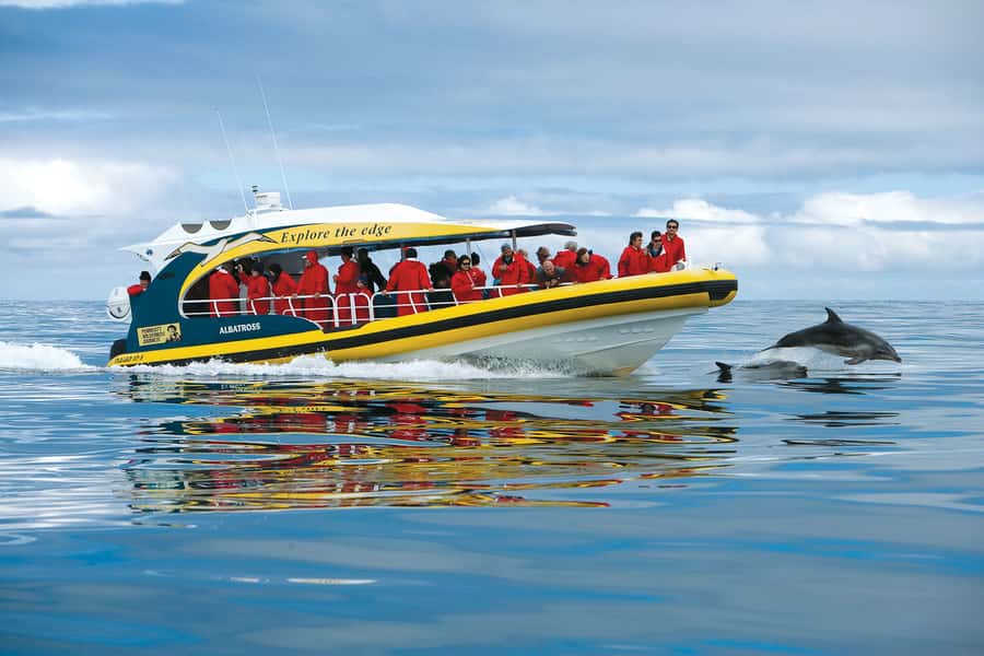 Hobart: Bruny Island Wilderness Coast Eco Cruise with Lunch - The scenic bus ride to Adventure Bay, with stops that make it feel real