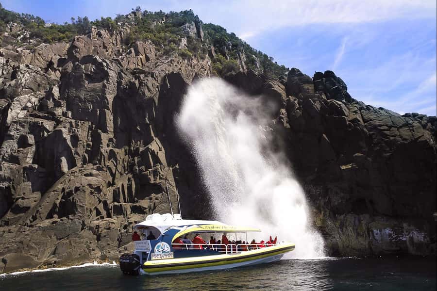 Hobart: Bruny Island Wilderness Coast Eco Cruise with Lunch - What you’re really seeing: caves, blow holes, and sea-cliff drama