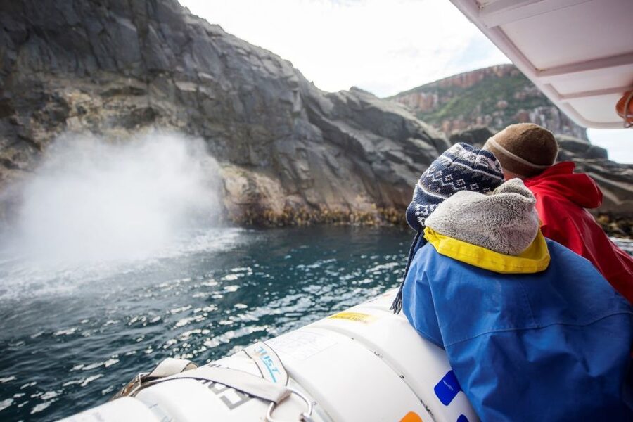 Hobart: Bruny Island Wilderness Coast Eco Cruise with Lunch - Weather reality: dress warm, expect wind, and accept a bit of bounce