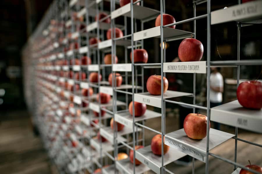 Hobart: Hastings Cave, Tahune Airwalk and Huon Tasting Trail - Key highlights worth penciling in