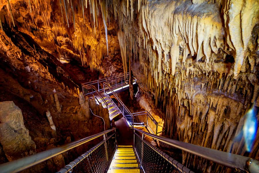 Hobart: Hastings Cave, Tahune Airwalk and Huon Tasting Trail - Tahune Airwalk: three walks, two hours, and real choices