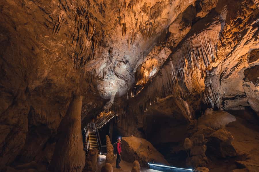 Hobart: Hastings Cave, Tahune Airwalk and Huon Tasting Trail - Should you book this Hobart to Tahune and Hastings Caves day trip?