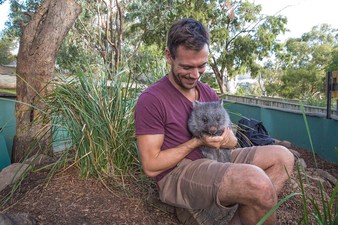 Hobart Highlights Day Tour - Key things I’d bank on before you go