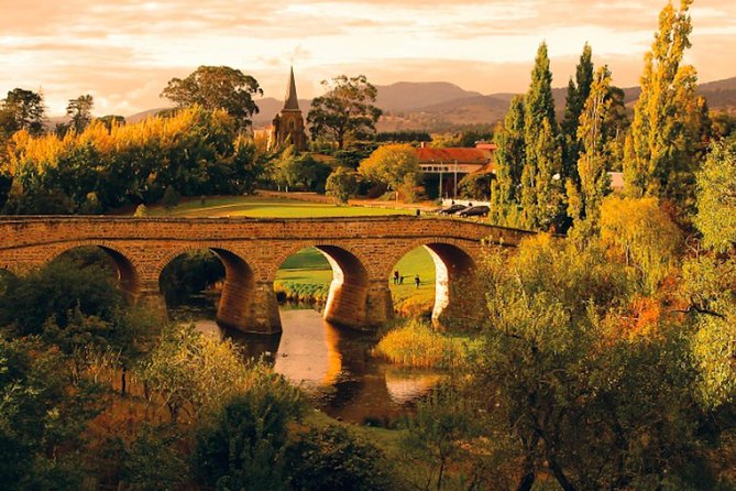 Hobart Highlights Day Tour - Bonorong Wildlife Sanctuary: close encounters, with weather and heat in mind