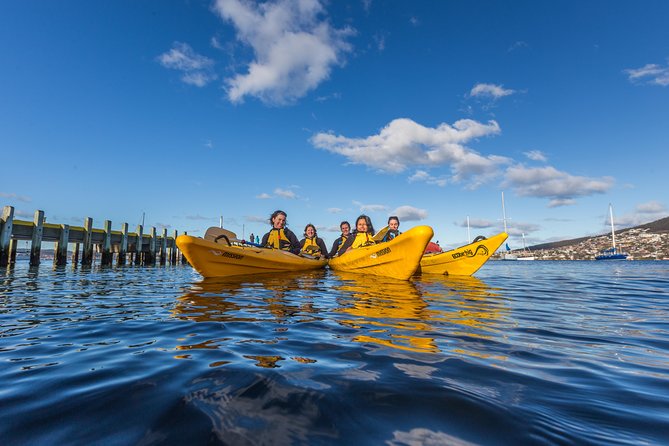 Hobart Kayak Tour - Key highlights worth knowing before you go