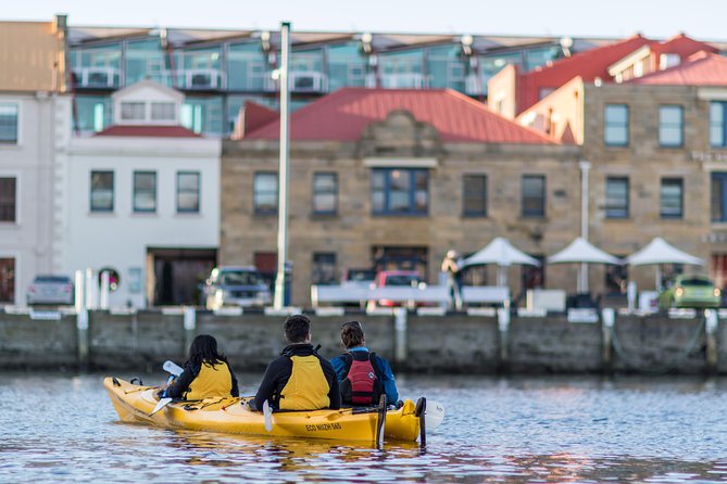 Hobart Kayak Tour - Tasman Peninsula 10-hour day: wildlife odds and fitness reality
