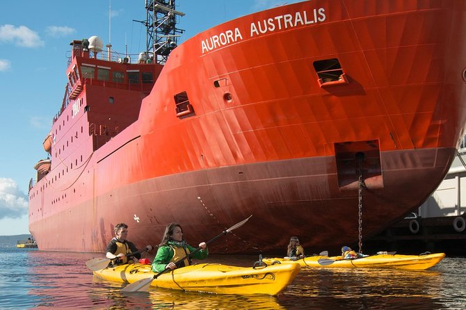 Hobart Kayak Tour - Guides make the difference, and the reviews back it up