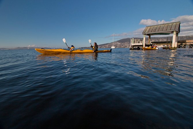 Hobart Kayak Tour - Pick your paddle length: 2.5-hour city, 7-hour coast, 10-hour Tasman Peninsula