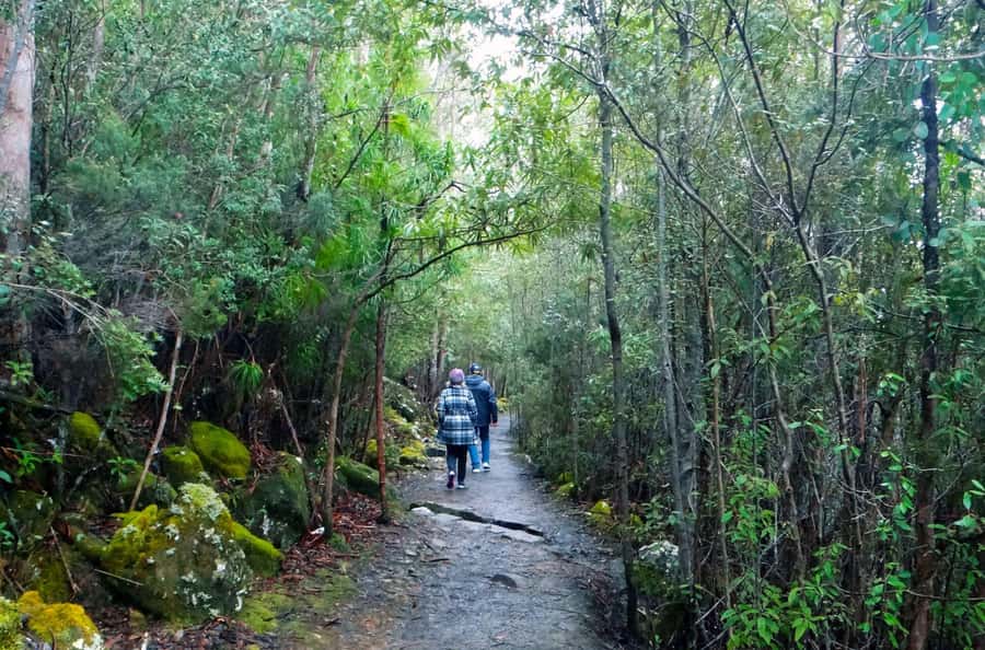 Hobart: kunanyi/Mt Wellington Explorer Bus Pass - Who should book the Explorer Bus pass?