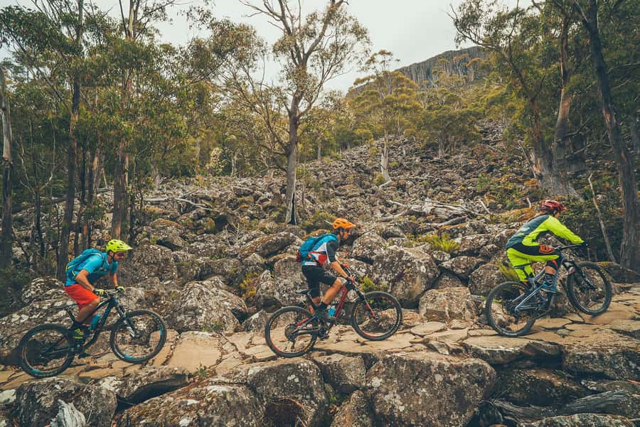 Hobart: kunanyi/Mt Wellington Explorer Bus Pass - What the return feels like, and why timing matters