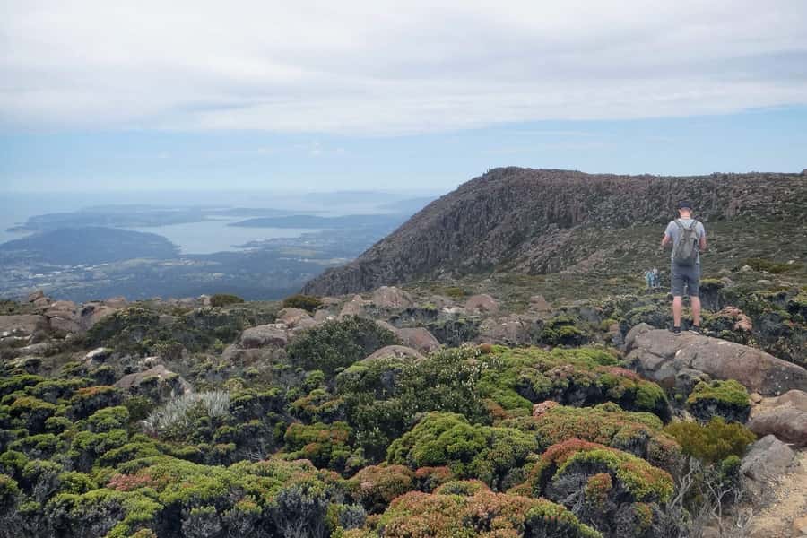 Hobart: kunanyi/Mt Wellington Explorer Bus Pass - The hop-on hop-off stops in Wellington Park (and how to use them)