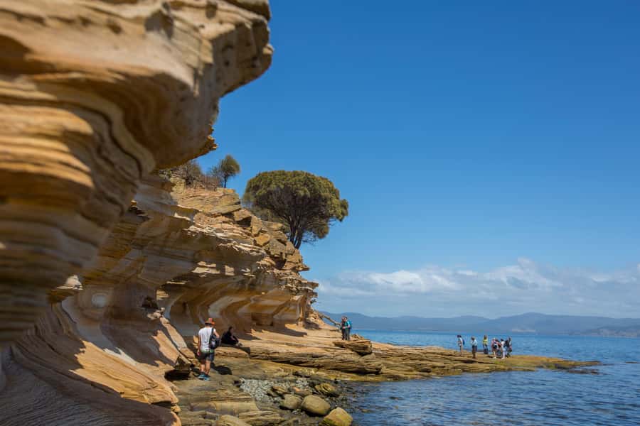Hobart: Maria Island National Park Active Full-Day Tour - Key Things That Make This Maria Island Day Work So Well