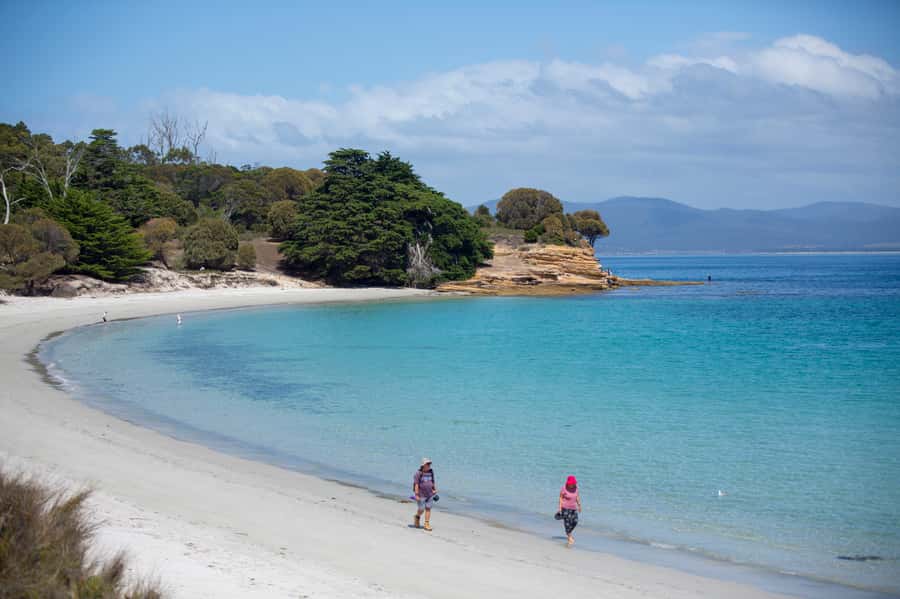 Hobart: Maria Island National Park Active Full-Day Tour - Hobart To Maria Island: Why the Early Start Matters