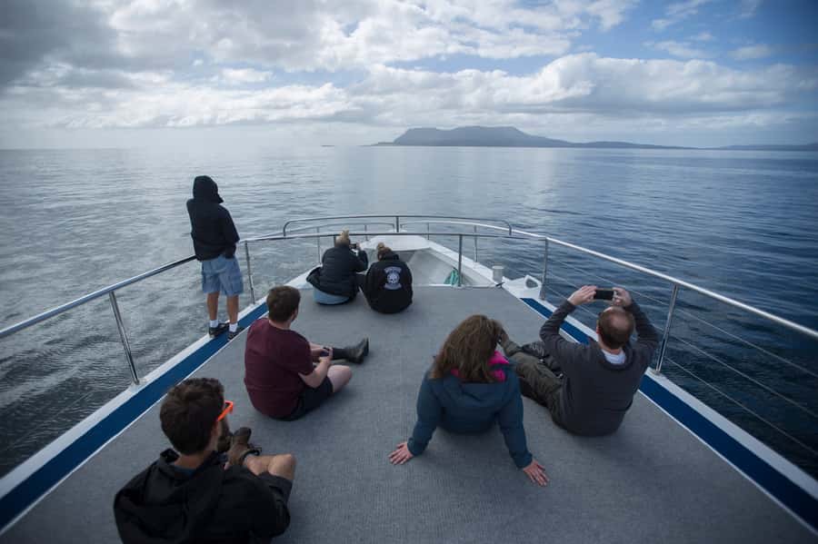 Hobart: Maria Island National Park Active Full-Day Tour - Fossil Cliffs Walk: 300 Million-Year Clues in the Rock