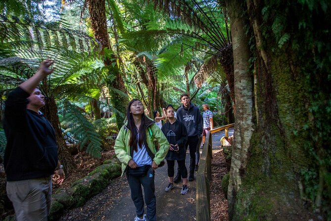 Hobart: Mt. Field, Mt Wellington & Wildlife - Active Day Tour - Price and value at about $132.69 per person