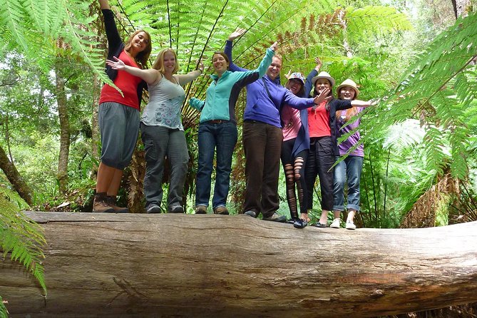 Hobart: Mt. Field, Mt Wellington & Wildlife - Active Day Tour - Lady Barron Falls and the Three Falls Circuit, what you actually get
