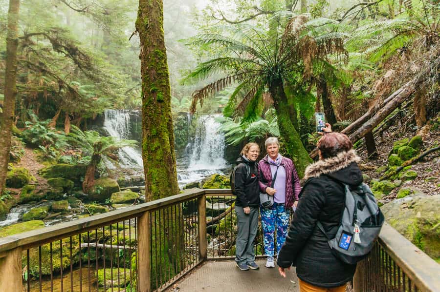 Hobart: Mt Wellington, Mt Field, Bonorong and Richmond Trip - Price and Value: Why $126 Can Feel Like a Deal