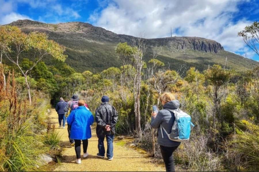 Hobart: Mt Wellington, Richmond, & Bonorong Wildlife Tour - Key highlights to watch for