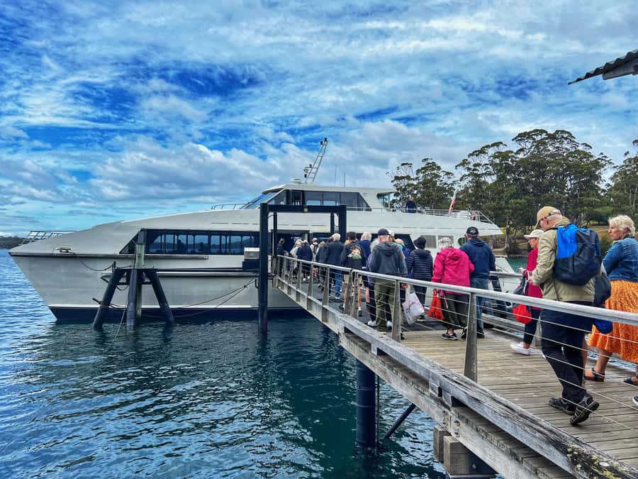 Hobart: Port Arthur, Harbor Cruise and Isle of the Dead Tour - Key things I’d count on before you go