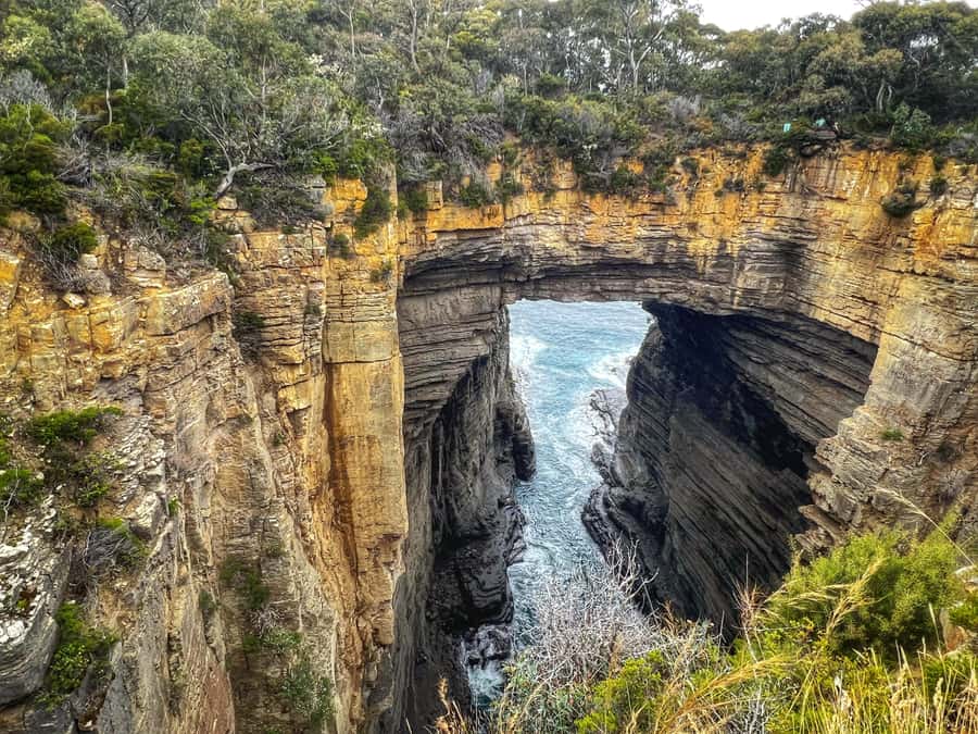 Hobart: Port Arthur, Harbor Cruise and Isle of the Dead Tour - Harbour cruise to Carnarvon Bay and the Isle of the Dead walking tour