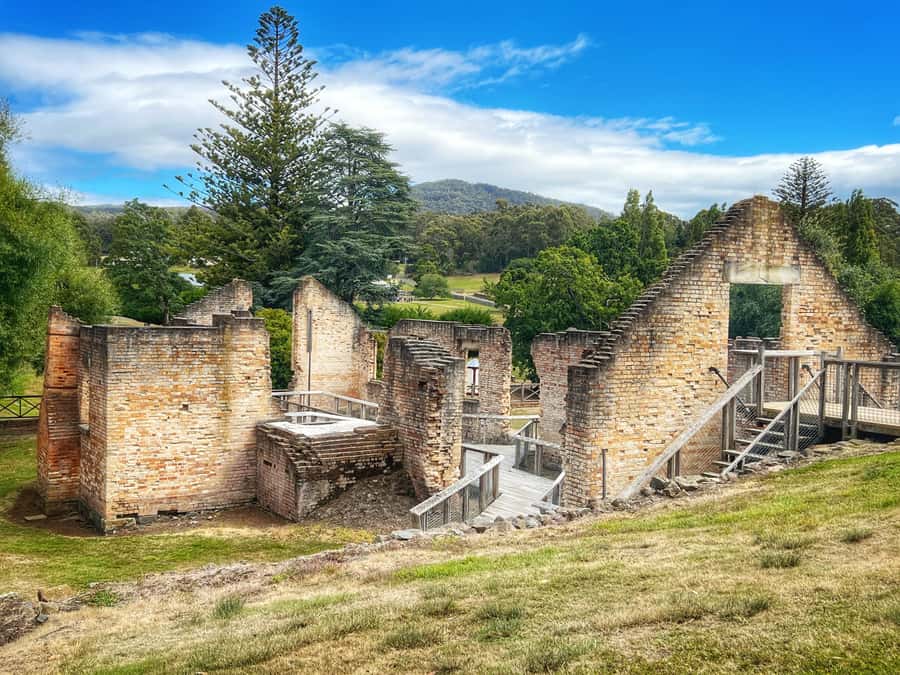 Hobart: Port Arthur, Harbor Cruise and Isle of the Dead Tour - Who this tour is best for, and who should look elsewhere