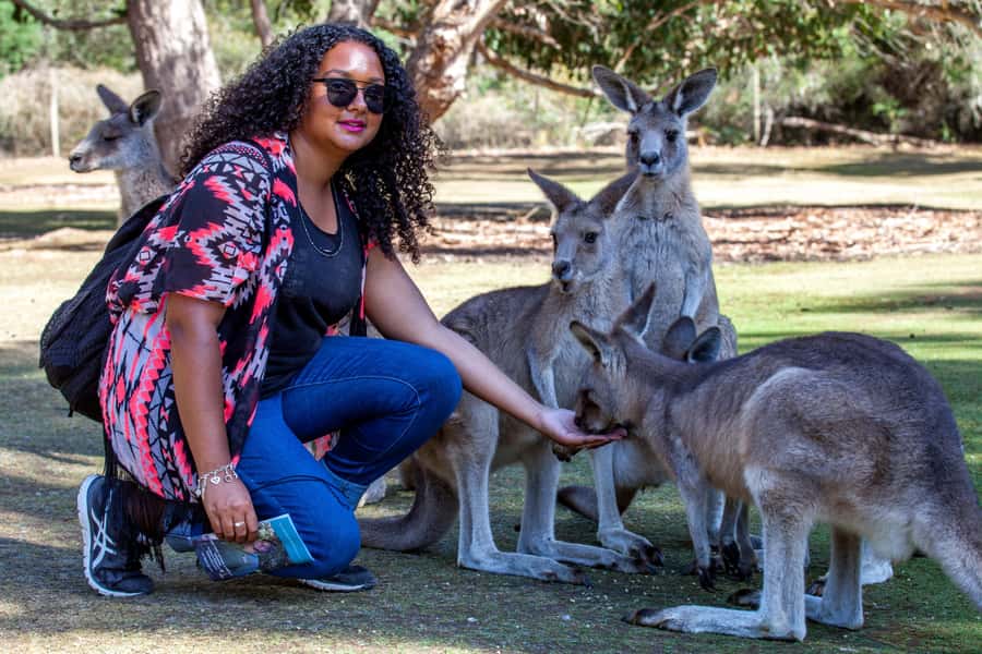 Hobart: Port Arthur, Richmond & Tassie Devil - Active Tour - Should you book this Hobart to Port Arthur, Richmond, and Tassie Devil day?