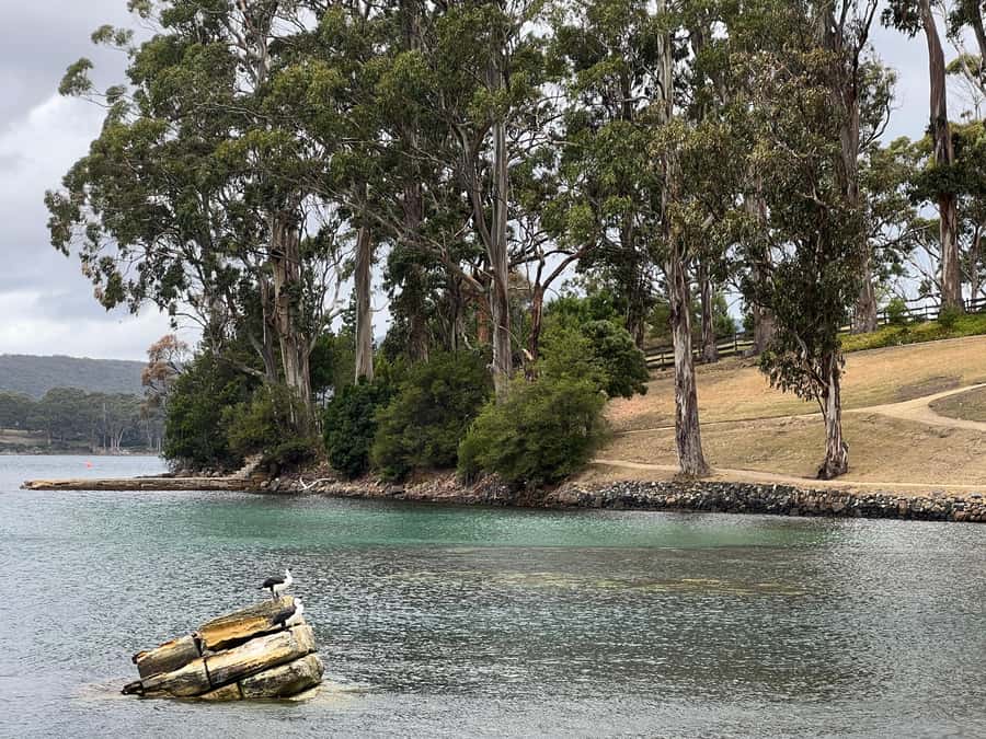 Hobart: Port Arthur & Tasman Park Full-Day Trip with Cruise - Carnarvon Bay cruise and the Isle of the Dead