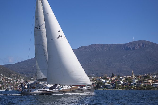 Hobart Sailing Experience - Tea time aboard is the social glue, and scones are the headline