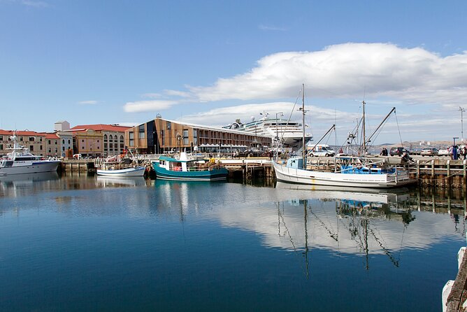 Hobart Shore Excursion: Hobart Attractions Bus - Why this Hobart Attractions Bus is a smart shore excursion