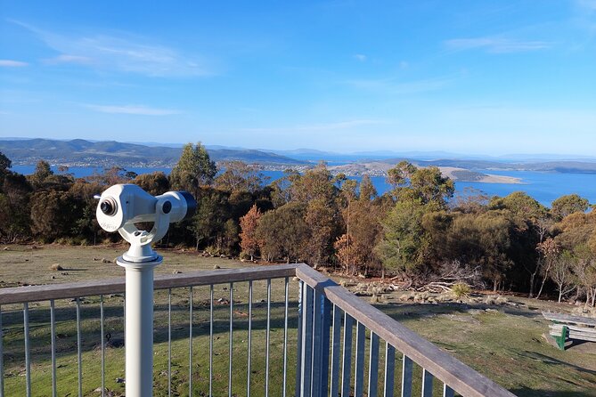 Hobart Shore Excursion: Hobart Attractions Bus - Royal Tasmania Botanic Gardens: the scenic bonus from the road