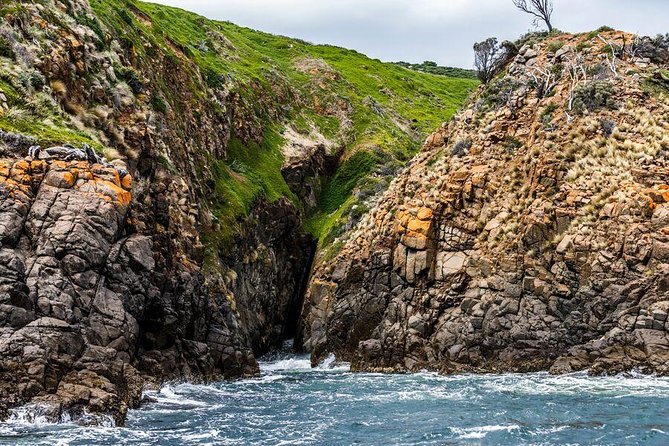 Hobart Sightseeing Cruise including Iron Pot Lighthouse - Key things that make this cruise worth your time