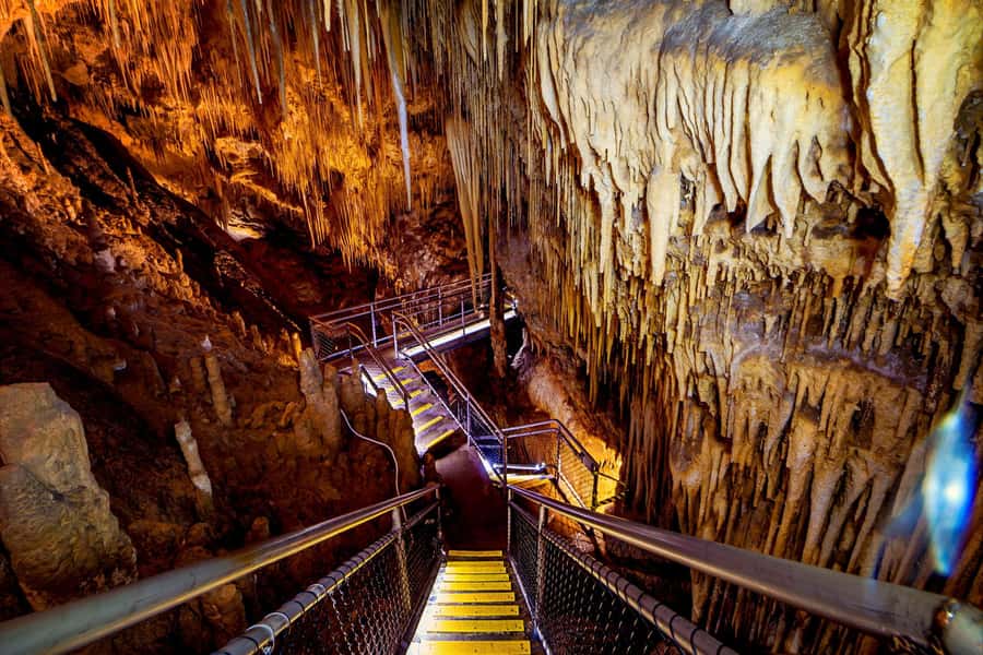 Hobart: Tahune Airwalk & Hastings Caves - Active Day Tour - Key Things I’d Mark on Your Map