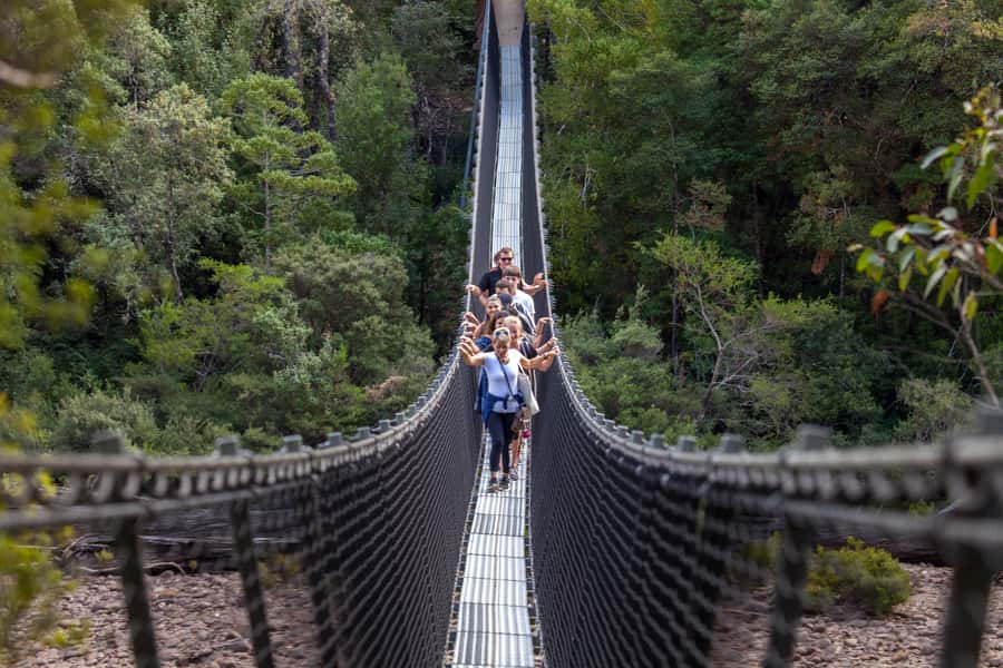 Hobart: Tahune Airwalk & Hastings Caves - Active Day Tour - Why Tahune Airwalk and Hastings Caves Belong in One Day