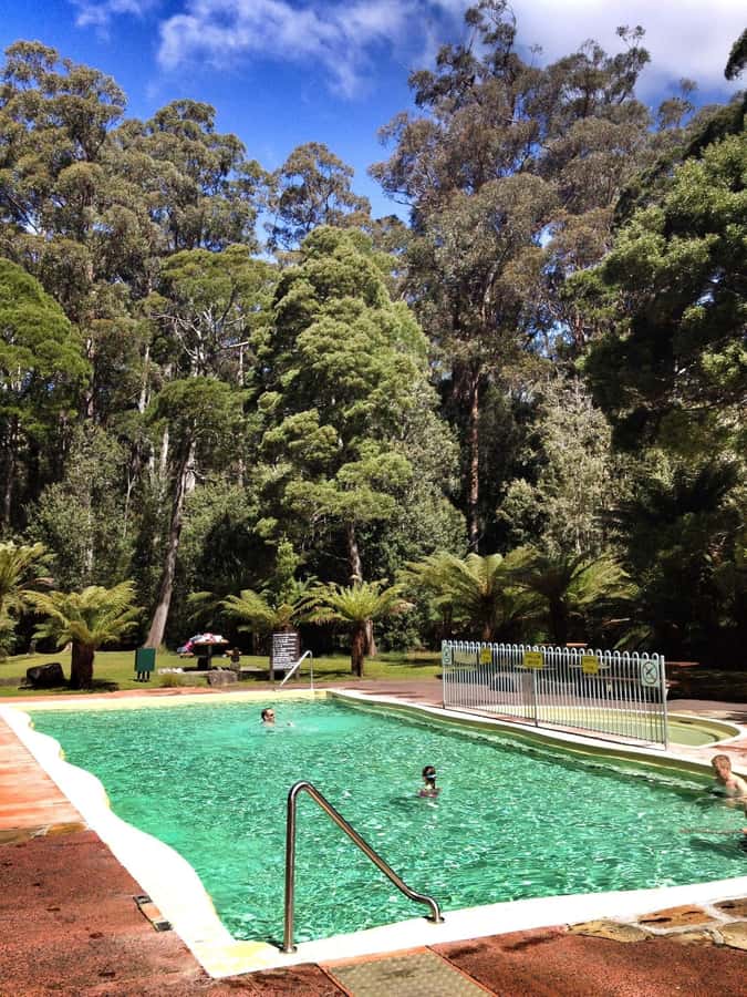 Hobart: Tahune Airwalk & Hastings Caves - Active Day Tour - Tahune Airwalk: Cantilever Treetops 50 m Above the Huon River