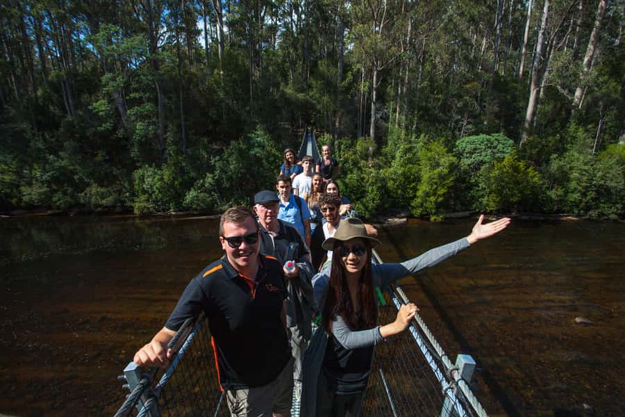 Hobart: Tahune Airwalk & Hastings Caves - Active Day Tour - Swinging Bridges and Riverbank Walks: Photos Plus Real Movement