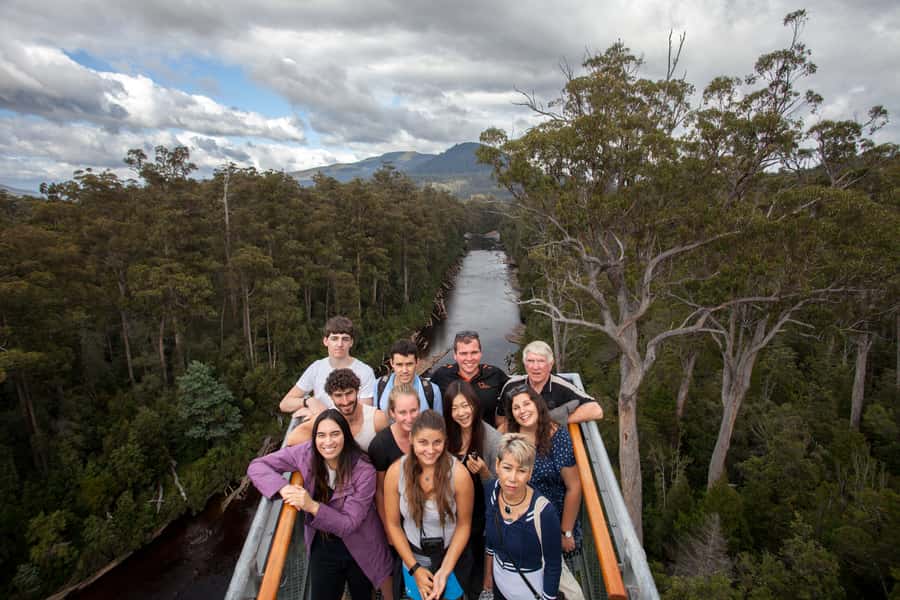 Hobart: Tahune Airwalk & Hastings Caves - Active Day Tour - Underground at Hastings Caves: 45 Minutes, 9 C Air, and Many Stairs