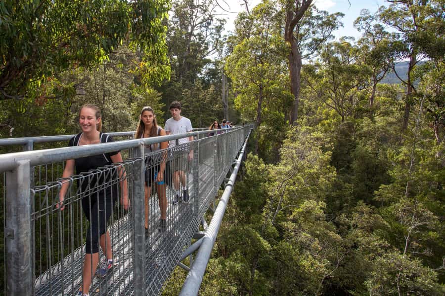 Hobart: Tahune Airwalk & Hastings Caves - Active Day Tour - Timing, Group Size, and How the Day Feels