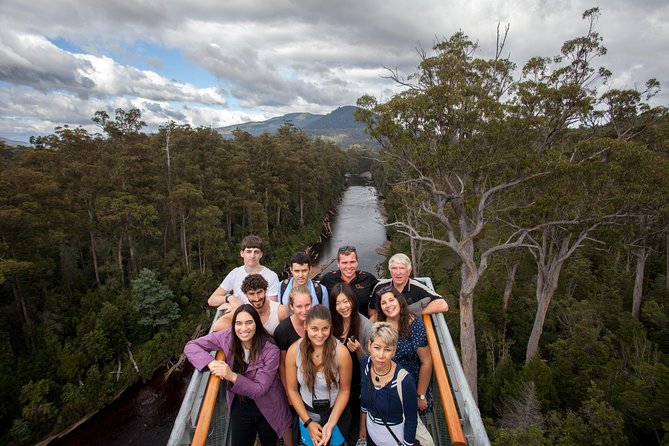 Hobart: Tahune Airwalk, Hastings Caves & Thermal Springs Pool - Key highlights at a glance
