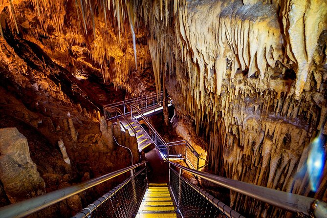 Hobart: Tahune Airwalk, Hastings Caves & Thermal Springs Pool - How this 10-hour Hobart loop actually feels